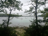 BOIS DE ROSCOURE-finistere