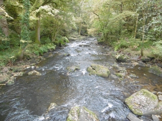 LE STANGALA - GRIFFONES-finistere