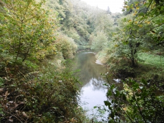 LE STANGALA - GRIFFONES-finistere