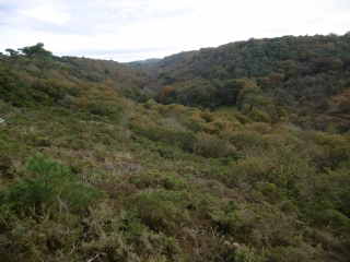 LOC-EGUINER - LA VALLEE PERDUE-finistere