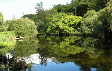 VALLEE DE L ELLE-finistere