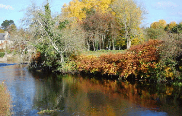 VALLEE DE L ELLE-finistere