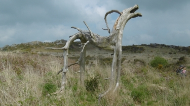 PLOUNEOUR-MENEZ - ABBAYE DU RELECQ-finistere