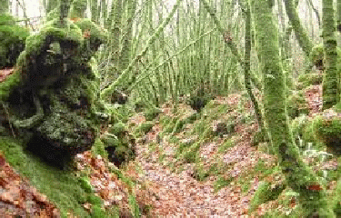 VALLEE DU NAIC-finistere