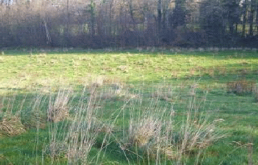 VALLEE DU NAIC-finistere