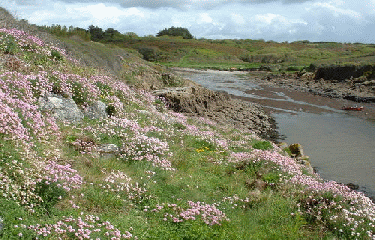 MOELAN SUR MER-finistere