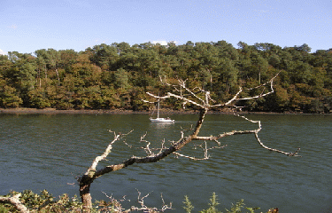 AUTOUR DE PLOMELIN-finistere