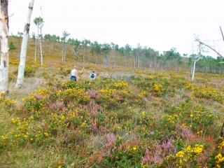 PLOMODIERN-finistere