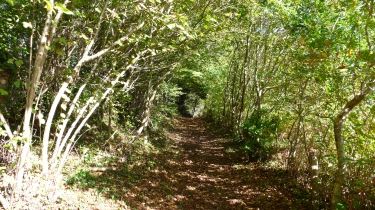 LA FOREST-LANDERNEAU-finistere