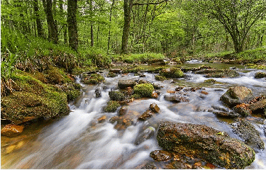MONTS D ARREE-finistere