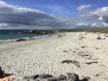 POINTE DE TREVIGNON - ST PHILIBERT-finistere