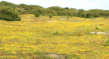 CIRCUIT DEPART DE GOULVEN-finistere