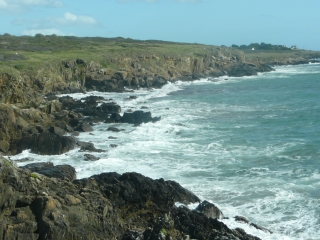 MOELAN-SUR-MER (3)-finistere