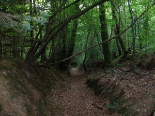 CLEDEN-POHER-finistere