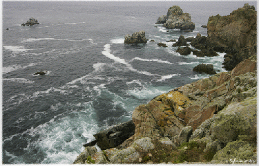 CAP-SIZUN-finistere