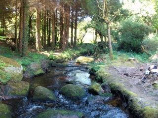 MONTS D ARREE-finistere