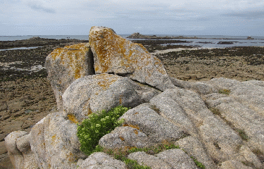ANSE DE DIBEN-finistere