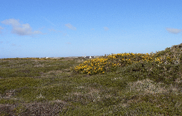 POINTE DE PEN AR LAN-ile-d-ouessant