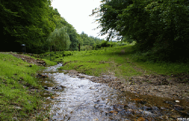 LES FAYES - BOUCE-allier
