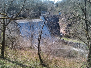 TOUR DU LAC DE SIDIAILLES-allier