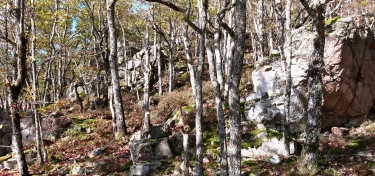 LA LOGE DES GARDES-allier