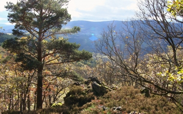 LA LOGE DES GARDES-allier