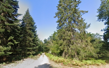 MEILLARD - CIRCUIT DE LA RIVIèRE à LA VIGNE-MEILLARD-allier