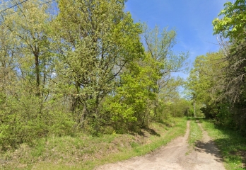 MONéTAY-SUR-ALLIER - LES BLONDEAUX-allier