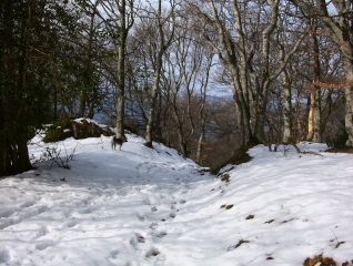 LA LOGE DES GARDES (2)-allier