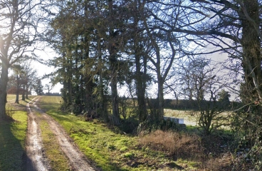 NOYANT D ALLIER – CHEMIN DES CHèVRES-allier