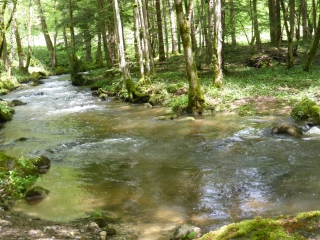 FERRIERE-SUR-SICHON-allier
