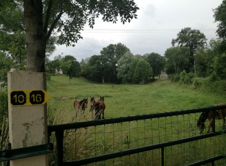 NERIS-LES-BAINS - CIRCUIT DE CHEBERNE-N12-allier