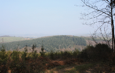 GR3 - PARTIE 2-allier