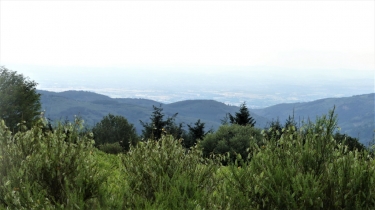 SAINT-NICOLAS-DES-BIEFS - FAYOT-allier