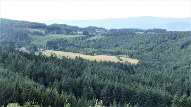 SAINT-NICOLAS-DES-BIEFS - FAYOT-allier