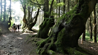 SAINT NICOLAS DES BIEFS - LA GRANDE ECLUSE-allier