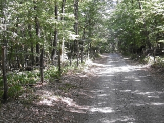 SAINT-YORRE - COUPE GORGE ET FONDS DE FERS-allier