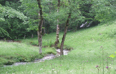 SAINT NICOLAS DES BIEFS-allier