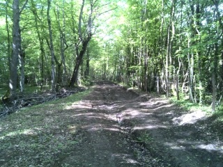 LES CHEMINS DE BELLERIVE-SUR-ALLIERE-allier