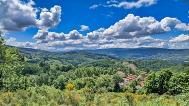 ALLEE DES GEANTS HETRES TORTUEUX - ST-NICOLAS-DES-BIEFS-allier