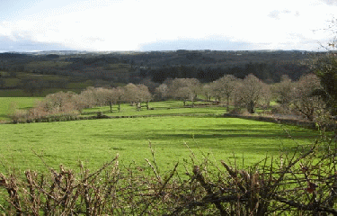 LES COMBRAILLES-allier