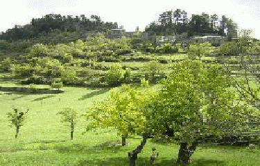 MOLIERES CAVAILLAC-gard