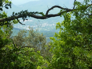 SAINT-LAURENT-LE-MINIER - OISELETTE-gard