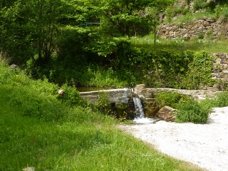 SAINT-LAURENT-LE-MINIER - OISELETTE-gard