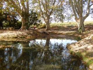 JONQUIERES-ST-VINCENT - VOIE ROMAINE-gard