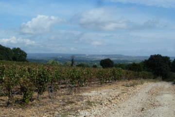 MEYNES - BOIS DE CLAUSONNES-gard