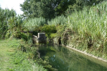 MEYNES - BOIS DE CLAUSONNES-gard