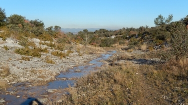 LOGRIAN - LE CASTELLET-gard