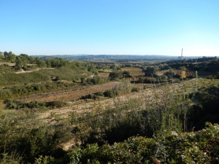 THEZIER - DOMAZAN - LE CASTELLAS - THEZIER -gard