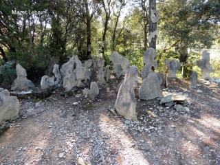 CALVISSON - ST-ETIENNE-D ESCATTES-gard